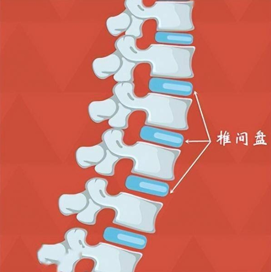 微信截图_20241126144306.jpg
