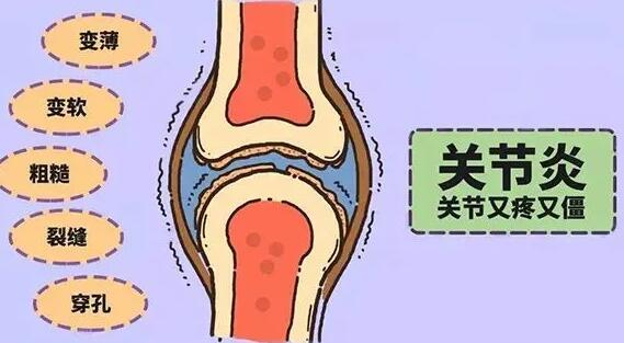 QQ截图20231206135107.jpg