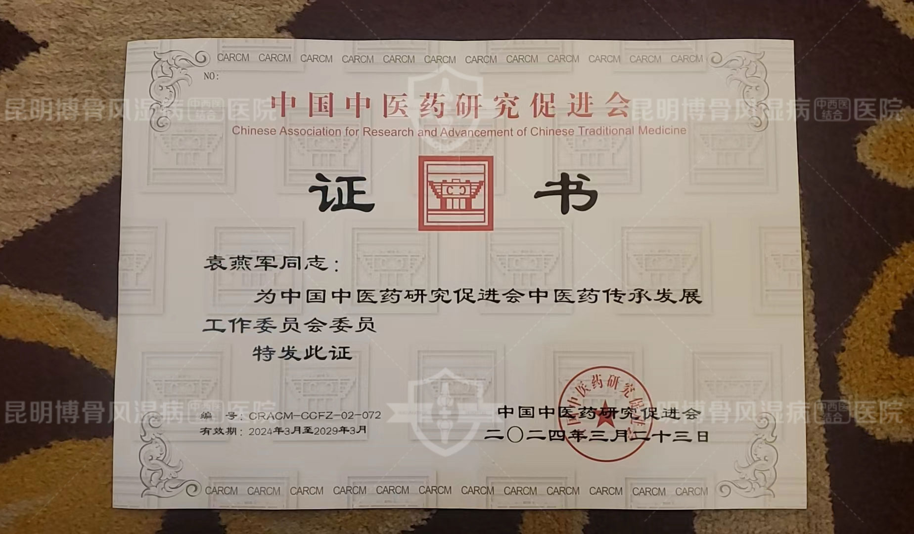 中促会中医药传承发展工作委员会委员袁燕军